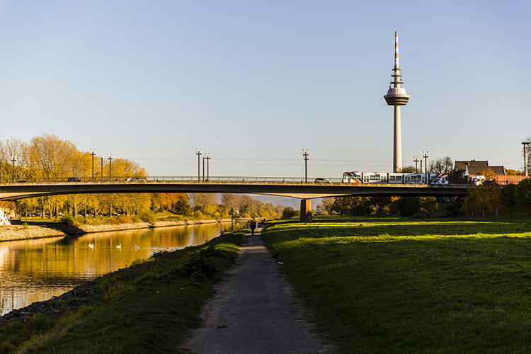 Fernmeldeturm 2 | Stadtmarketing Mannheim GmbH | Fotograf Hyp Yerlikaya
